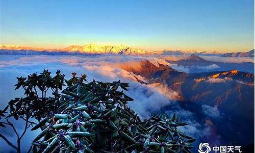 雅安牛背山天气_牛背山天气